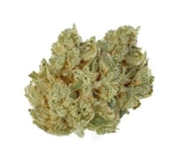BLACK TUNA LTO - 14