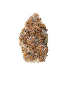 Pistol And Paris - X ON THE BEACH - 7 GRAMS