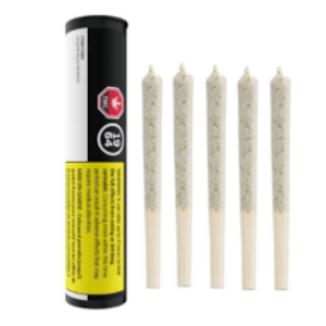 1964 - Comatose Pre-Roll 5x0.5g Pre-Rolls