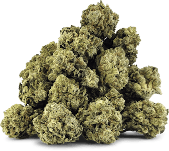 BC OZ - Guava Trainwreck - BC OZ - 28