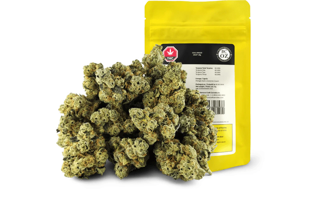 BC OZ - EXTREME OG CRAFT LTO - 28 Main Image