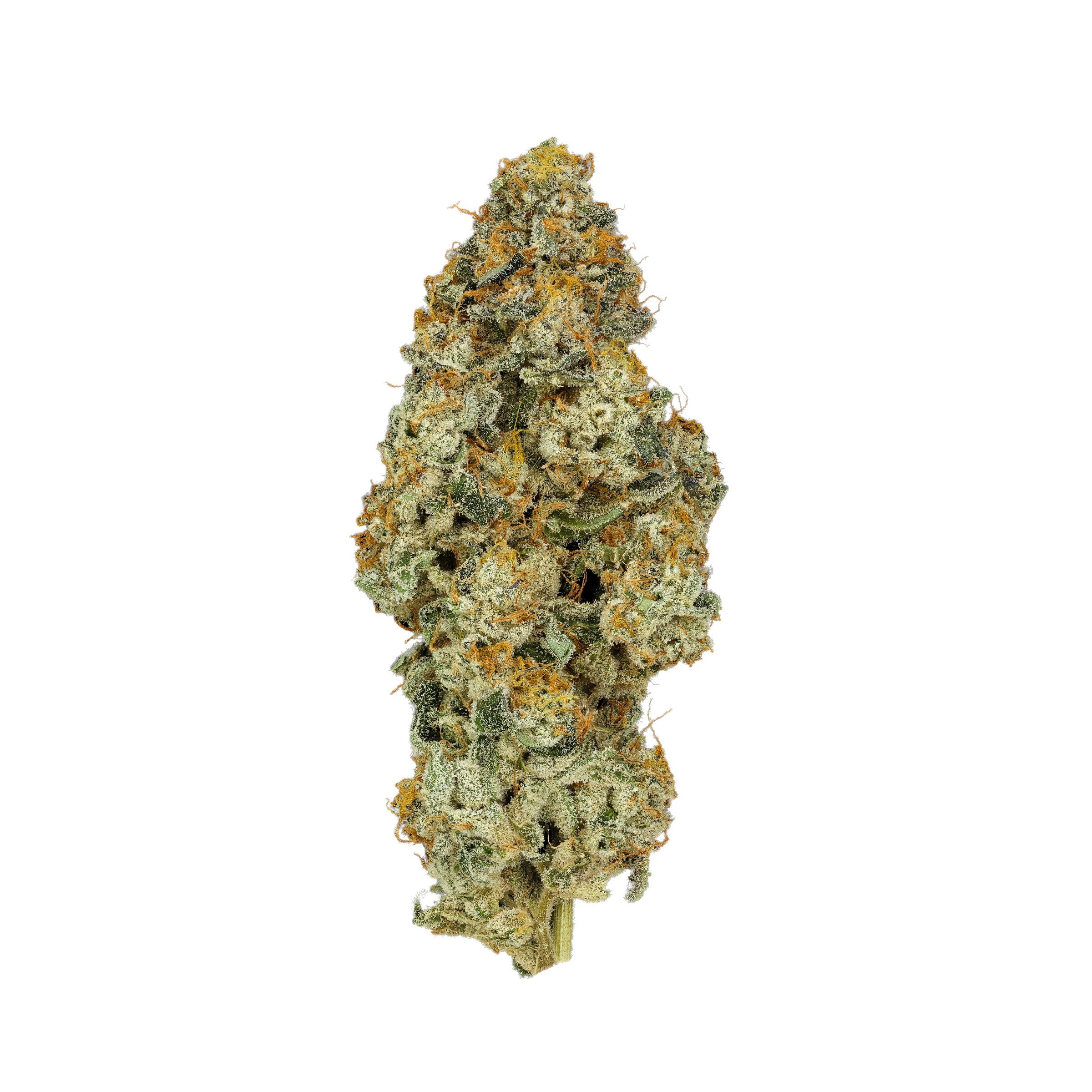 PLATINUM ORANGES - 3.5