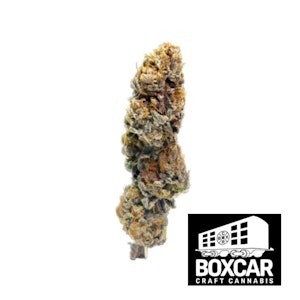 Boxcar Cannabis - BLUEBERRY BUBBA - 3.5