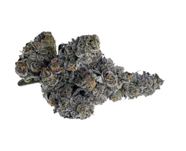 Amani Craft Cannabis - Gastro Pop Smalls - 3.5g