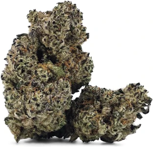 DEALR - Honeycomb Pave 3.5g