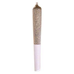 Station House - Jack Herer Pre-Roll 1x0.5g Pre-Rolls