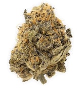 Saltspring Magic | Pheno Hunter's Dream | 3.5 g