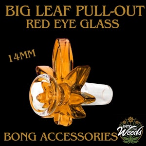 Red Eye Glass  - 14mm Big Leaf Pull-Out - Honey Gold