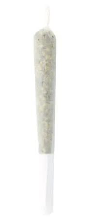 Sitka X - Sitka X | OG Collab - Citrus Experience Rosin Infused Pre Roll | 1 x 1 g Main Image