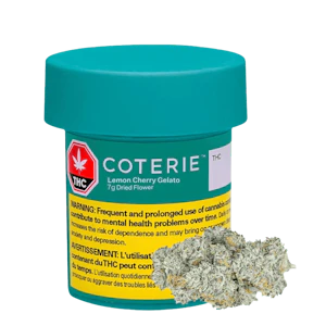 Coterie - Lemon Cherry Gelato 7g Dried Flower
