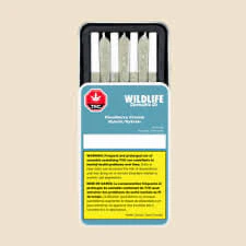 Wildlife Cannabis - Cloudberry Crunch Main Image