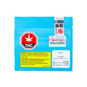 Dab Bods - Rockstar 2.0