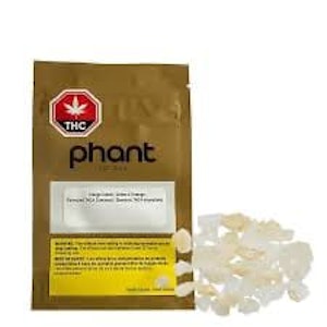 Phant - Orange Cream THCA