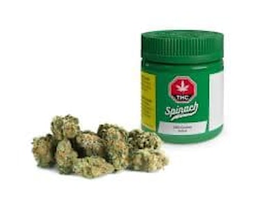 Spinach - GMO Cookies