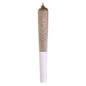 Station House Jack Herer Pre-Roll 1x0.5g