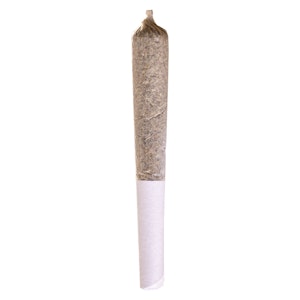 Station House - Station House Jack Herer Pre-Roll 1x0.5g