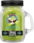 Skinny Dippin' Lime In The Coco 12 oz - Beamer Candles