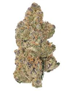 Always Hi - DRAGON'S BREATH