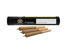 Black Domina