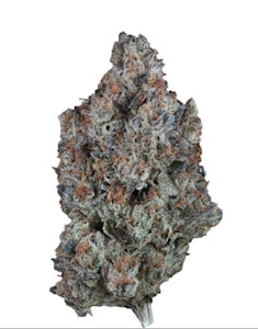 1964 - 1964 | SOUR TANGIE - 7g