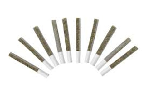 Primo - CHOCOLATE DIESEL SUNGROWN