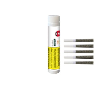 Pure Laine Cannabis - Smoothies Indica Carbon Tip