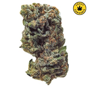 True Fire - Gasolina 3.5g