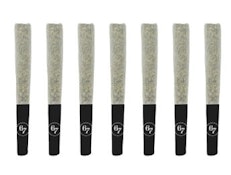Gas Face | 7x0.5g