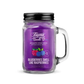 Beamer Candle Co - Blueberries Smells Like Raspberries