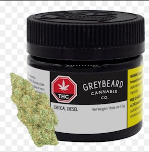 Greybeard - Critical Diesel 3.5g Dried Flower - Greybeard