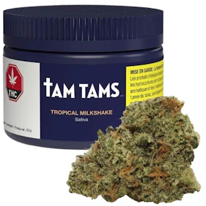 Tam Tams - Tropical Milkshake 3.5g Flower - Tam Tams