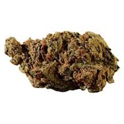 Versus - BC God Bud 3.5g Dried Flower