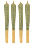 Sativa (Tangerine Cookies) Pre-Rolls | 4x0.5g