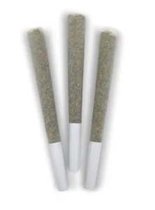 DEALR - DEALR - 3PK BLUE TARTZ PRS