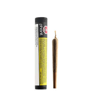 Phant - Orange Cream 1 x 1g Diamond Infused Pre-Roll