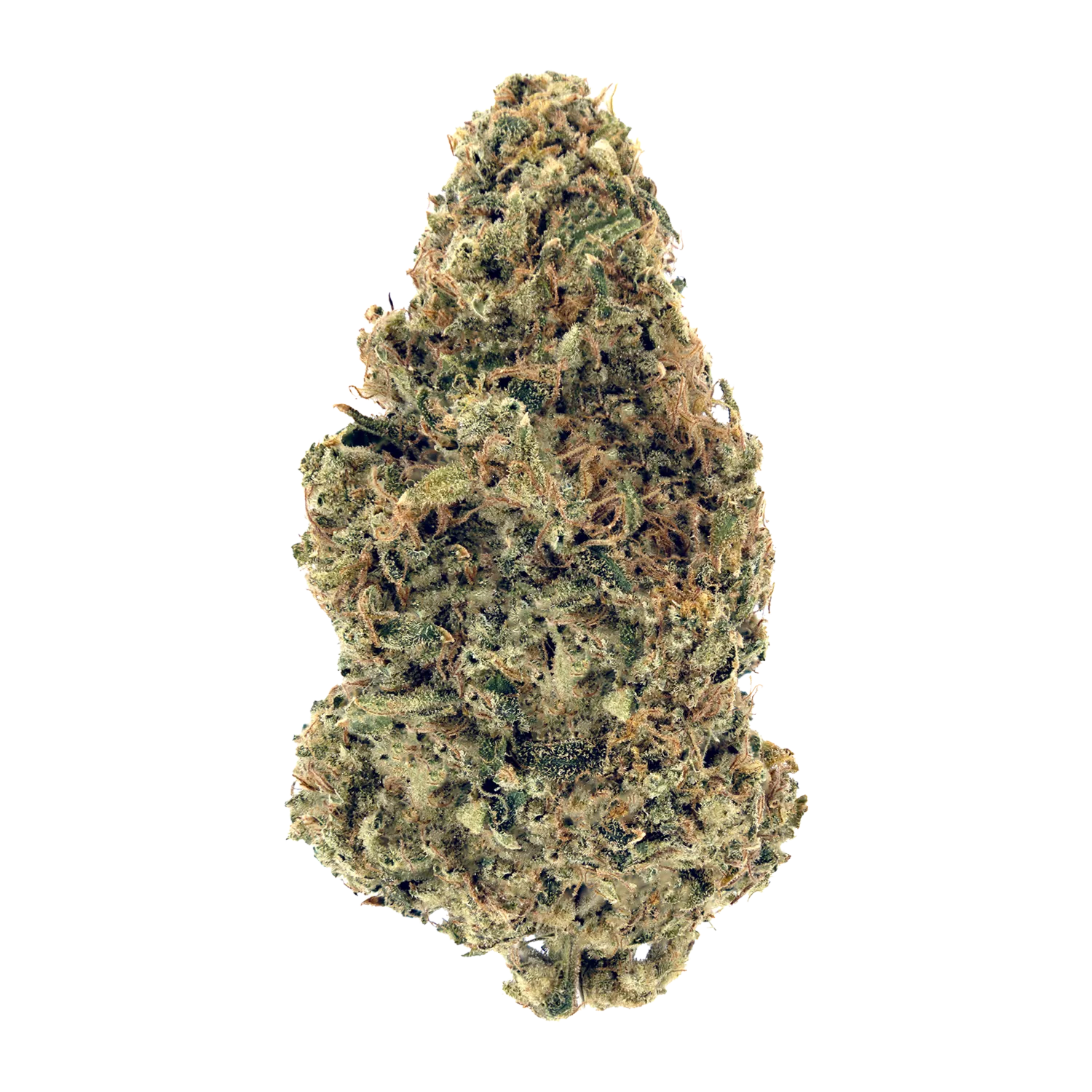 Country Club 14g Dried Flower