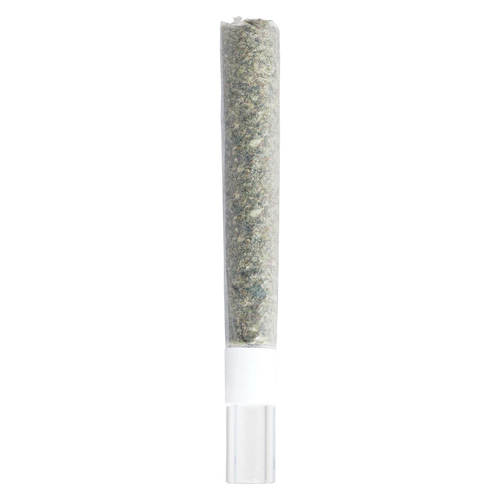 3RD COAST GENETICS - Michigan Melonz Glass Tip Pre-Roll 1x1g Pre-Rolls Main Image
