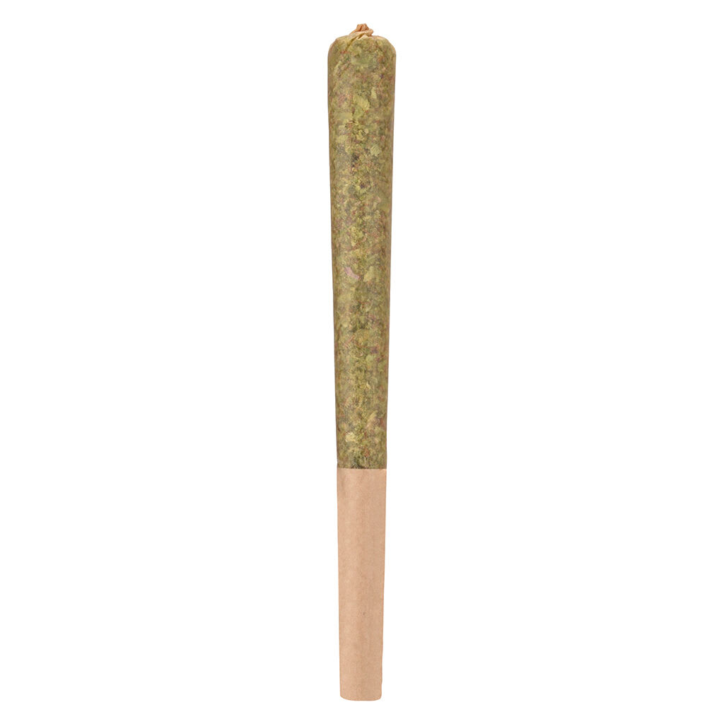 Rocketeer (33 Splitter) Infused (Gastropop Bubble Hash) Pre-Roll 1x1g Hash and Kief