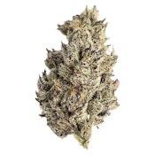 James' Celebration (Daily Grape)