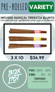 BOXHOT Fatties - BOXHOT FATTIES - 3PK INFUSED RADICAL TRIFECTA BLUNTS