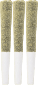 Terp Gush - Terp Gush - Blueberry Burst Pre-Rolls 3x0.5g | 1.5g