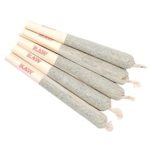 Sixty Seven Sins - Gary Satan Pre-Roll - Sixty Seven Sins