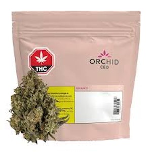 Orchid CBD - CBD Rntz THC CBD Balanced 3.5g Dried Flower