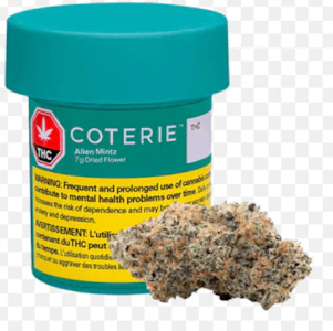 Coterie - Alien Mintz 7g Dried Flower - Coterie