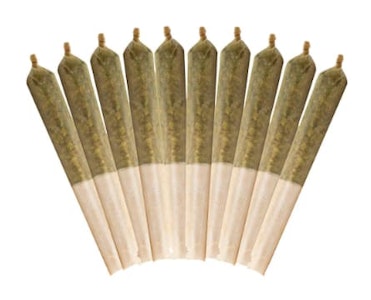 Buddy Blooms - Ethos Glue Pre-Roll 10x0.5g