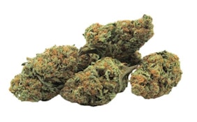 ROMULAN GRAPEFRUIT - 14g