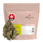 CBD Rntz Balanced 3.5g Dried Flower by Orchid