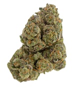 Glazed Apricot Gelato 28g Dried Flower by Castle Rock Farms