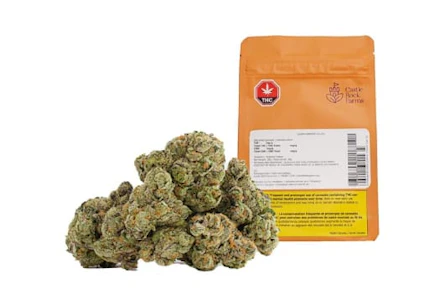 Castle Rock Farms - Glazed Apricot Gelato 28g Dried Flower