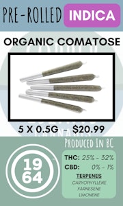 1964 - 1964 - 5PK ORGANIC COMATOSE PRS